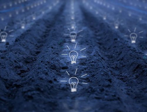 Innover dans les PME grâce à l’intelligence collective